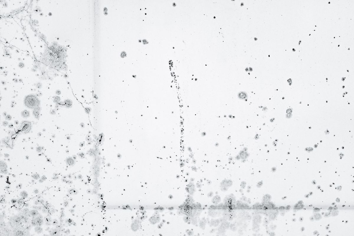 Mold Remediation and water damage restoration in Waldo, Kansas City MO 64113